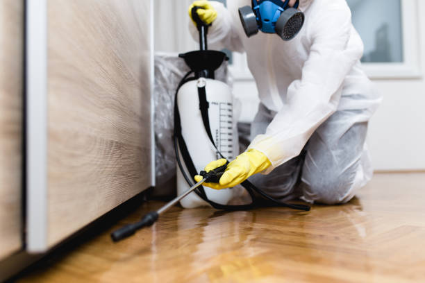 Best Rat Extermination Near Me  in Satellite Beach, FL