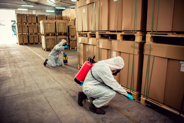 Best Ant Control Services  in Satellite Beach, FL