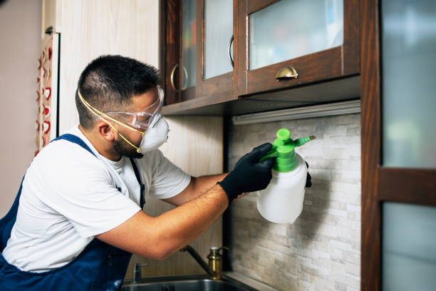 Best Affordable Pest Control Services  in Satellite Beach, FL