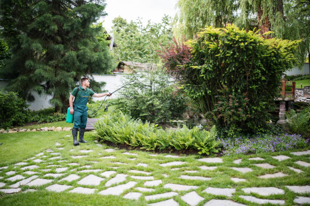 Best Affordable Pest Control Services  in Satellite Beach, FL