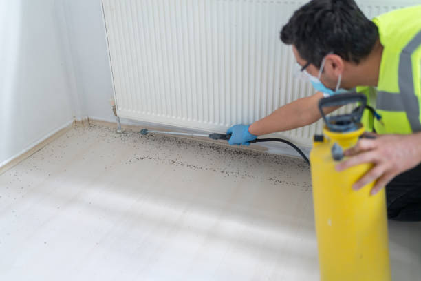 Best Mosquito Control Services  in Satellite Beach, FL